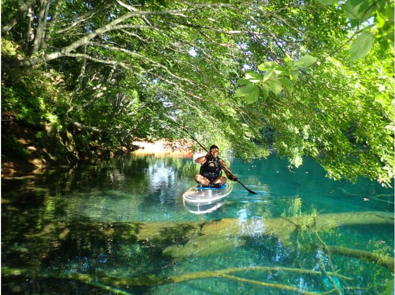 First in Hokkaido! Clear SUP (SUP) Warm cruising with a dry suit that does not get wet all over! Water quality is the best in Japan for more than 10 years. It is safe at the only local shop in Lake Shikotsu!の紹介画像