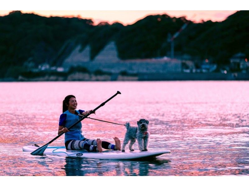 葉山「エバーリゾート」　愛犬とSUP（サップ）体験を楽しむ女性