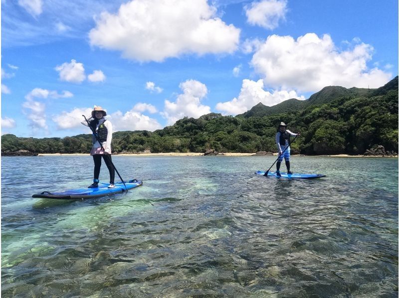 [Okinawa Ishigaki Island] Group discount! 1 group charter SUP! Morning course! Women and beginners welcome! English available!の紹介画像