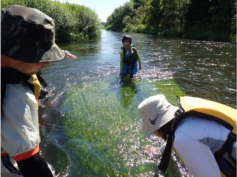 [Hokkaido ・ Niseko] Take a walk on the Shiribetsu River Rafting River going tour (1 group private tour! Pet 1 year oldの紹介画像