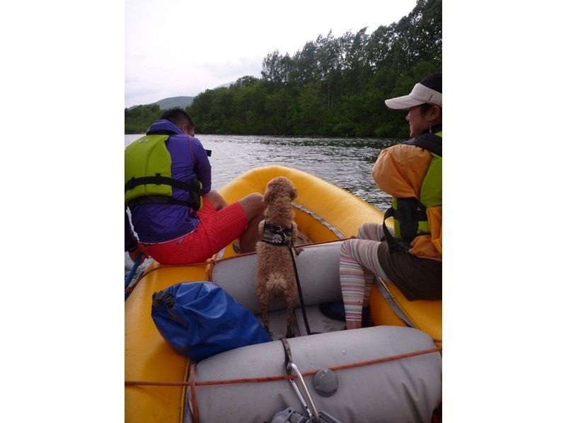 [Hokkaido ・ Niseko] Take a walk on the Shiribetsu River Rafting River going tour (1 group private tour! Pet 1 year oldの紹介画像