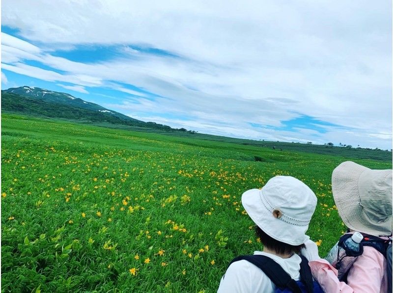 [Hokkaido / Sorachi] Uryu-numa Marsh Tour with a professional guideの紹介画像