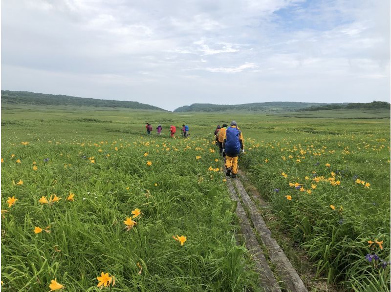 [Hokkaido / Sorachi] Uryu-numa Marsh Tour with a professional guideの紹介画像