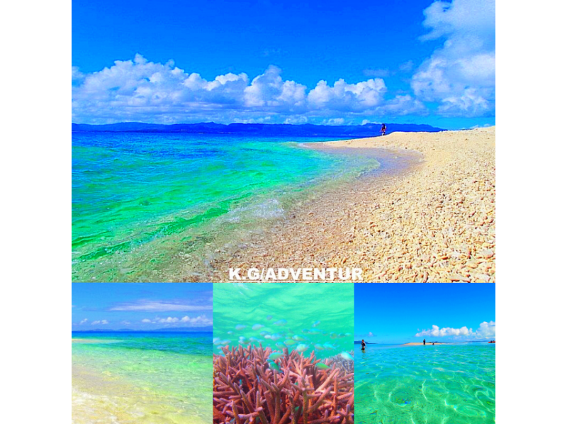 【世界遺産 西表島】夏限定！西表島キャニオニング滝遊び＆バラス島海ガメシュノーケリング【ツアー写真データ無料】の紹介画像