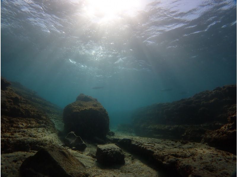[Wakayama / Shirahama] เพื่อเป็นครั้งแรกของโลกใต้น้ำในการดำน้ำ (Discover Scuba หลักสูตรดำน้ำ)の紹介画像