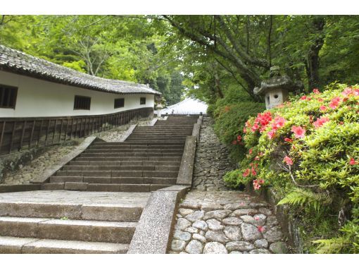 三重県 松阪 周遊タクシー 日本最大級の商業施設 voson と東光山神宮寺 女人高野 丹生大師 を参拝 アクティビティジャパン 三重県 松阪 周遊タクシー 日本最大級の商業施設 voson と東光山神宮寺 女人高野 丹生大師 を参拝 アクティビティジャパン