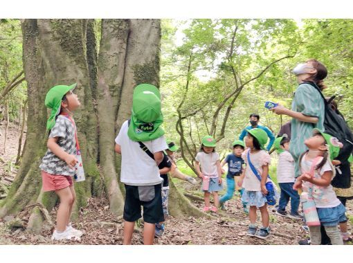 三重県のエコツアーの予約 日本旅行 オプショナルツアー アクティビティ 遊びの体験予約