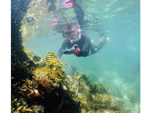 秋の海を独り占め 綺麗な海でシュノーケリング教室 丁寧 少人数 千葉 守谷海岸 海の中は別世界 Go To取扱店 初めての人も安心 アクティビティジャパン 秋の海を独り占め 綺麗な海でシュノーケリング教室 丁寧 少人数 千葉 守谷海岸 海の中は別世界 Go To取扱店 初めての人も安心 アクティビティジャパン