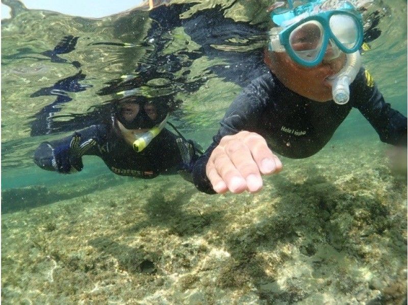 千叶有哪些秘密浮潜地点？介绍推荐旅行和热门计划排名！