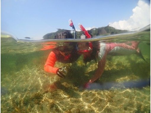 Autumn Sale In Progress Snorkeling In The Beautiful Autumn Sea Chiba Moriya Coast Another World In The Sea Go To Dealer First Timers Can Rest Assured Activityjapan