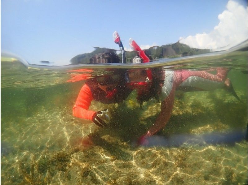 Autumn is the best time ``Experience snorkeling in the beautiful sea'' Polite and small group (Chiba) Under the sea is another world◆Safe for first-timersの紹介画像
