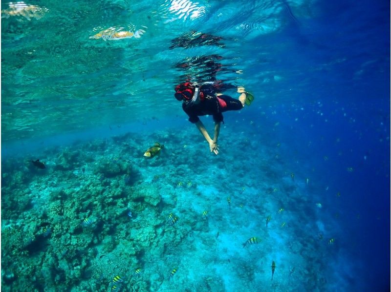 Autumn is the best time ``Experience snorkeling in the beautiful sea'' Polite and small group (Chiba) Under the sea is another world◆Safe for first-timersの紹介画像