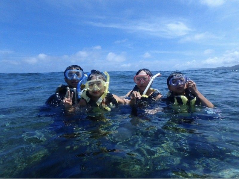 【與海龜一起游泳】【2.5小時】藍洞探險&色彩繽紛的珊瑚&海龜浮潛之旅【石垣島】の紹介画像