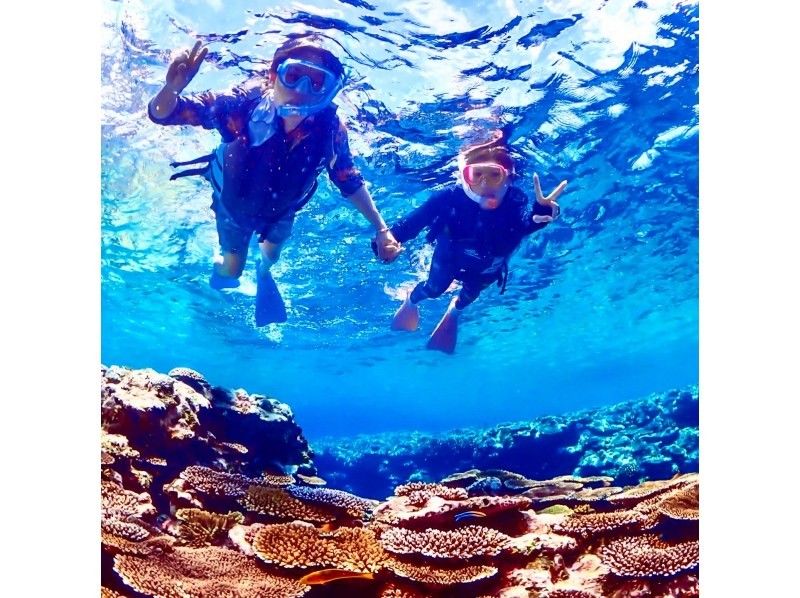 【與海龜一起游泳】【2.5小時】藍洞探險&色彩繽紛的珊瑚&海龜浮潛之旅【石垣島】の紹介画像
