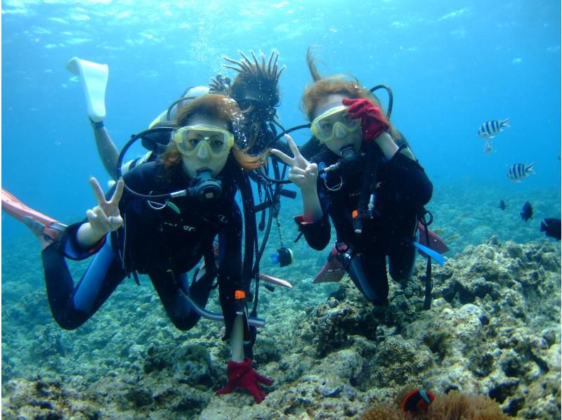 [Naha Departure ・ held between the Kerama] Experience Diving(1 dive or 2 dive) &Snorkeling! (half-day course)の紹介画像