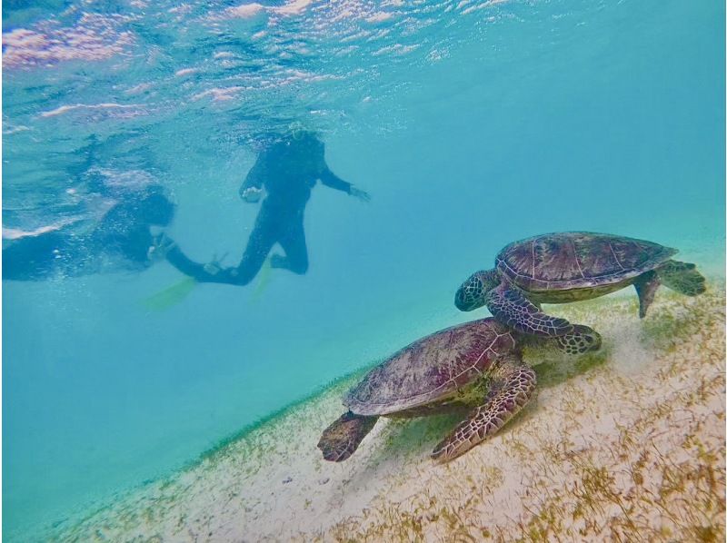 【宮古島　シュノーケル】1時間半【団体様大歓迎。gopro撮影データー無料！家族、カップル大歓迎！の紹介画像