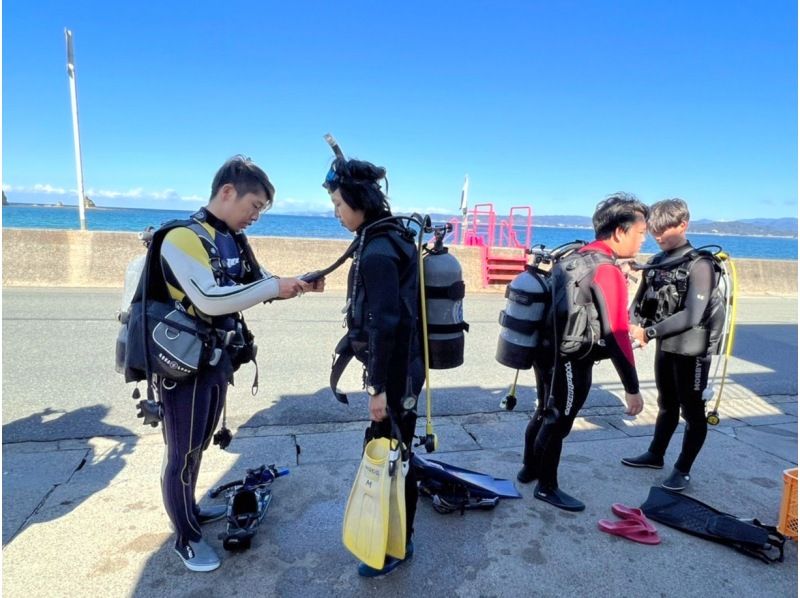 Spring sale underway [Wakayama/Shirahama] Campaign price! Refresh diver support plan (1 beach, 1 boat & full rental fee)の紹介画像