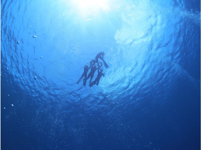　[宮古島] ボート体験ダイビング２ダイブ＆シュノーケリング。ダイナミックで神秘的な水中への紹介画像