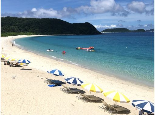 お土産セット付き【慶良間諸島・座間味島】オンラインクジラ