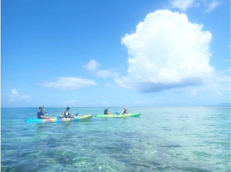 [Okinawa / Ishigaki Island] From Kabira Bay! Take a kayak to an uninhabited island in Kabira Bay! Enjoy snorkeling in the clear waters of Kabira Bay!の紹介画像