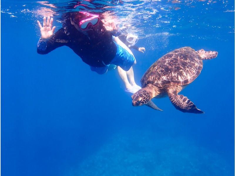 [Okinawa, Ishigaki Island] Limited to 6 people! Departing from Kabira Bay! Just 10 minutes by boat to the spot! Try to see manta rays and sea turtles! You can also see lots of tropical fishの紹介画像