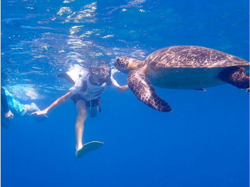 【沖縄・石垣島】６名限定！川平湾発！ボートに乗ってスポットまでたったの１０分！マンタ＆ウミガメにチャレンジしよう！！熱帯魚にもたくさん会えるの紹介画像