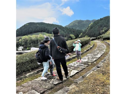 京都府のトレッキング ハイキングの予約 日本旅行 オプショナルツアー アクティビティ 遊びの体験予約