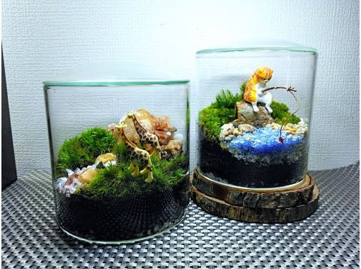新宿☆苔テラリウム】スマートな硝子瓶で創る！苔テラリウム1個☆当日