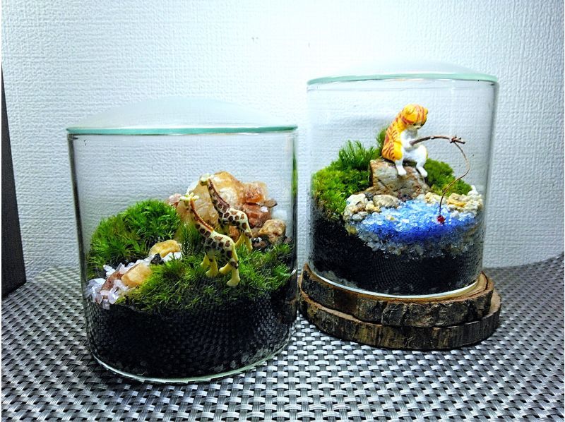 【新宿☆苔テラリウム】スマートな硝子瓶で創る！苔テラリウム1個☆当日も受付しております！の紹介画像