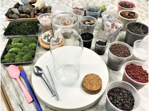 東京 新宿御苑前駅 かわいい 苔テラリウム づくり 期間限定 お得プラン アクティビティジャパン