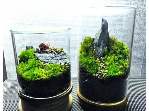 新宿☆苔テラリウム】スマートな硝子瓶で創る！苔テラリウム1個☆夜間