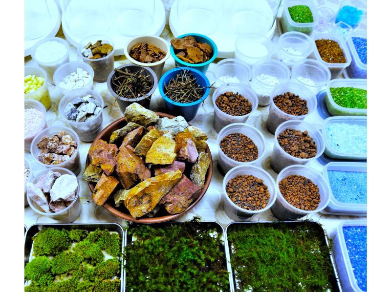 【新宿☆苔テラリウム】スマートな硝子瓶で創る！苔テラリウム1個☆当日も受付しております！の紹介画像