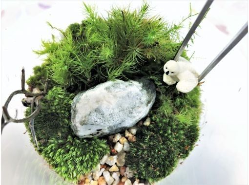 東京 新宿御苑前駅 かわいい苔瓶 苔テラリウム づくり 特別企画プラン アクティビティジャパン