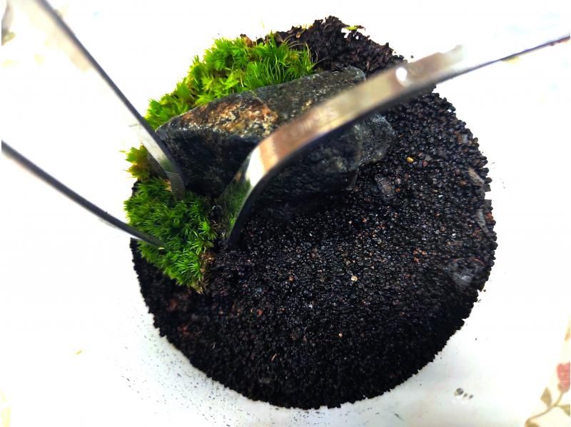 【新宿☆苔テラリウム】スマートな硝子瓶で創る！苔テラリウム1個☆当日も受付しております！の紹介画像
