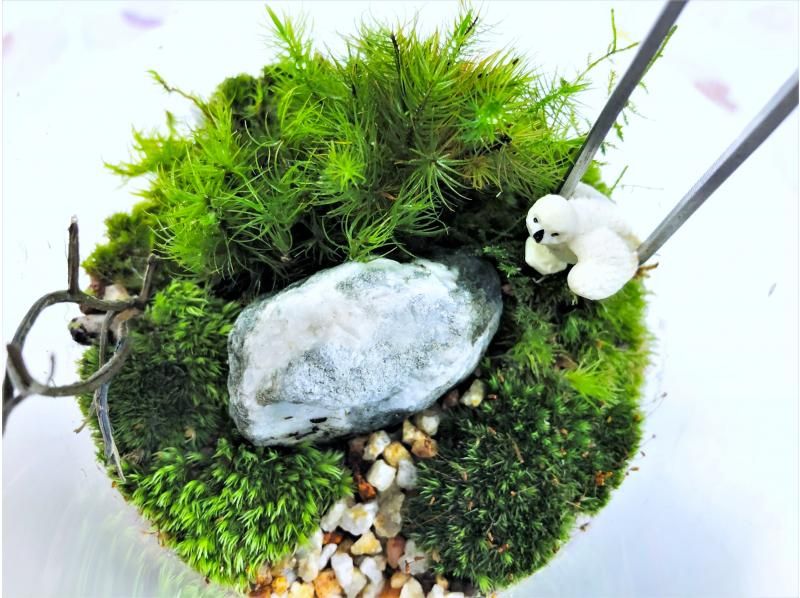 【新宿☆苔テラリウム】スマートな硝子瓶で創る！苔テラリウム1個☆当日も受付しております！の紹介画像