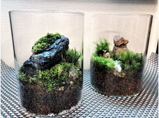 東京 新宿御苑前駅 かわいい苔瓶 苔テラリウム づくり 特別企画プラン アクティビティジャパン