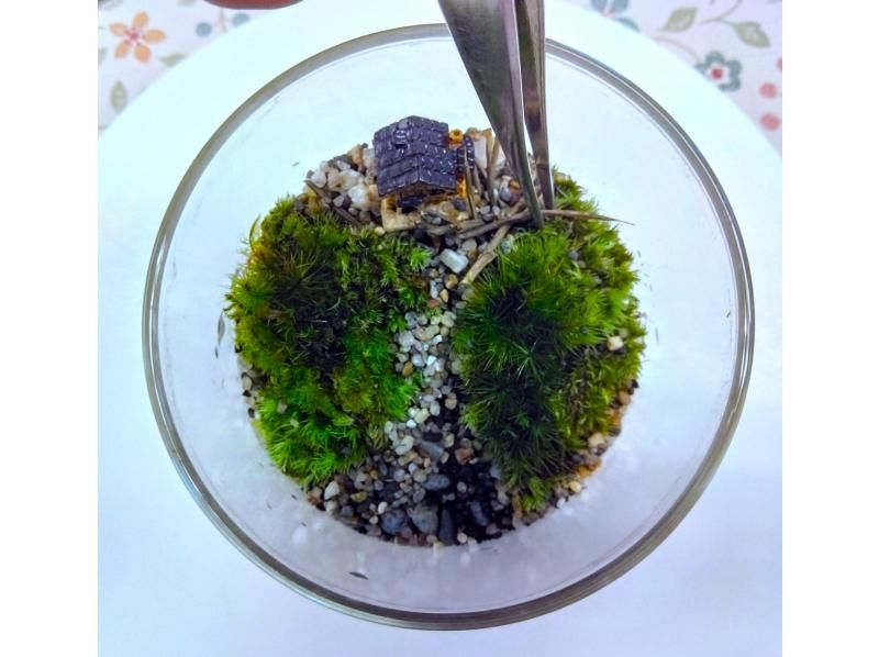 【新宿☆苔テラリウム】スマートな硝子瓶で創る！苔テラリウム1個☆当日も受付しております！の紹介画像