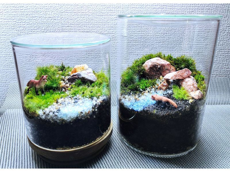 【新宿☆苔テラリウム】スマートな硝子瓶で創る！苔テラリウム1個☆当日も受付しております！の紹介画像