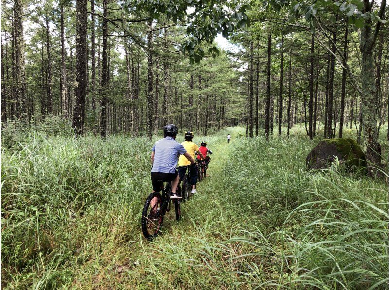 A slightly later afternoon plan! Almost no climbing! Less than 1.5 hour course Into a real forest! Mountain biking experience with children の紹介画像