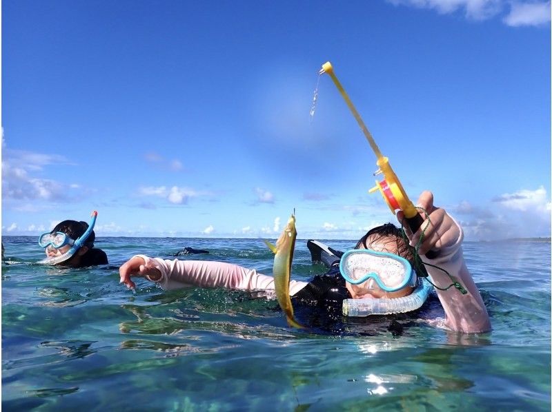 SALE! Sure to be a hit with adults too ☆ Snorkel fishing tour [Miyakojima, private tour for one group]の紹介画像