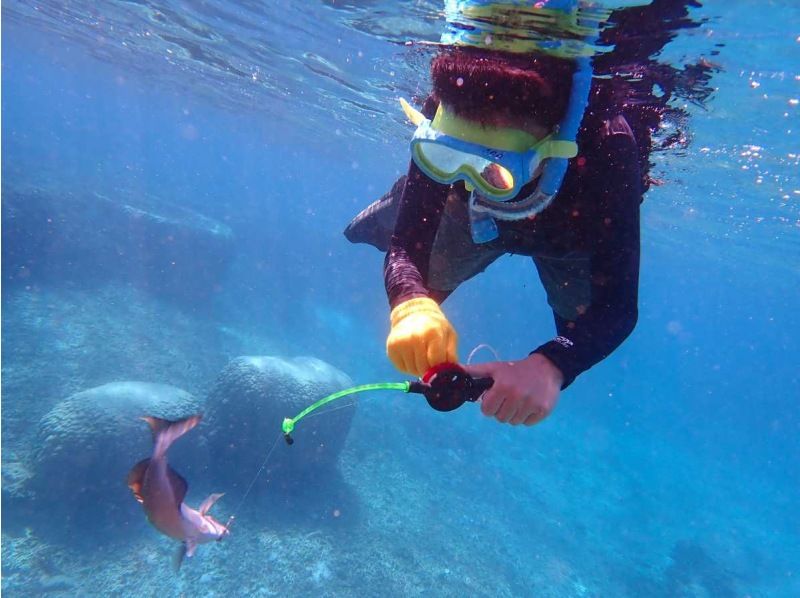 SALE! Sure to be a hit with adults too ☆ Snorkel fishing tour [Miyakojima, private tour for one group]の紹介画像