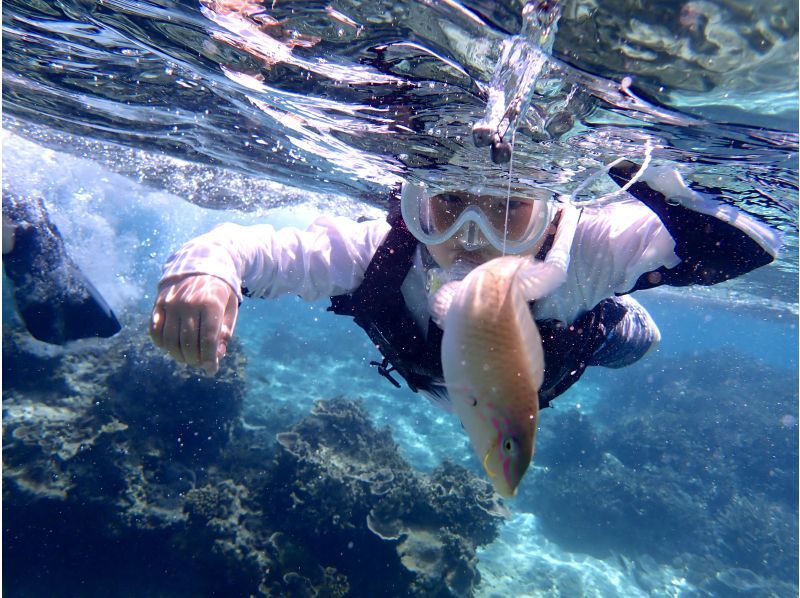 SALE! Sure to be a hit with adults too ☆ Snorkel fishing tour [Miyakojima, private tour for one group]の紹介画像