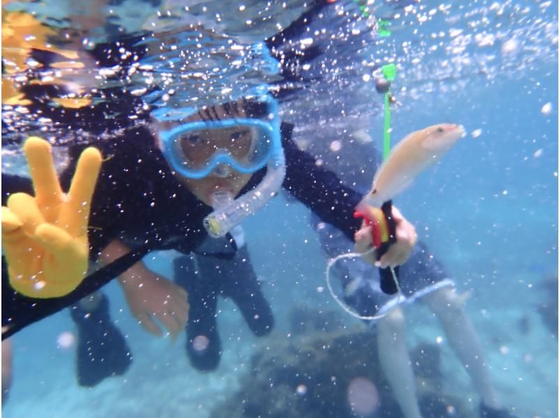 SALE! Sure to be a hit with adults too ☆ Snorkel fishing tour [Miyakojima, private tour for one group]の紹介画像