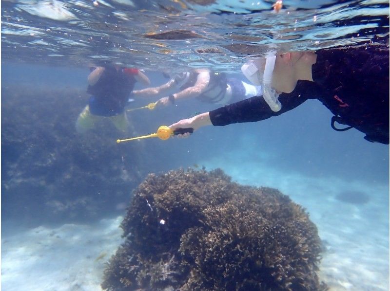 [Miyakojima 1 group charter] There is no doubt that adults will also fit in !? Snorkel fishing tourの紹介画像