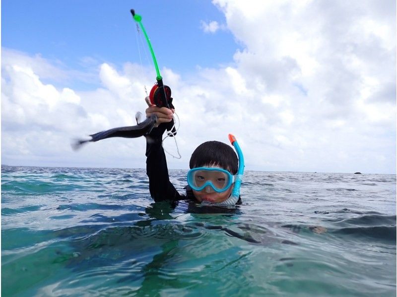 SALE! Sure to be a hit with adults too ☆ Snorkel fishing tour [Miyakojima, private tour for one group]の紹介画像