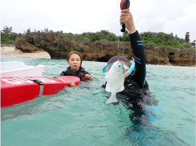 SALE! Sure to be a hit with adults too ☆ Snorkel fishing tour [Miyakojima, private tour for one group]の紹介画像