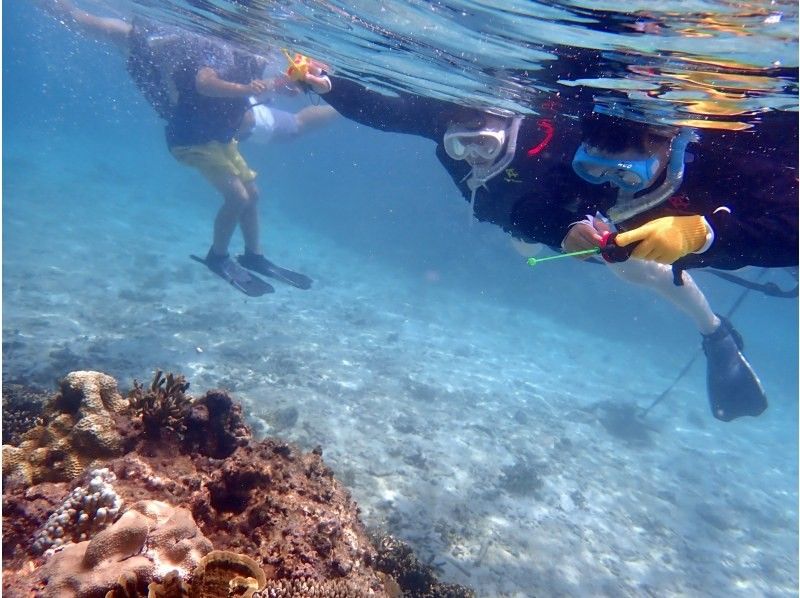 SALE! Sure to be a hit with adults too ☆ Snorkel fishing tour [Miyakojima, private tour for one group]の紹介画像