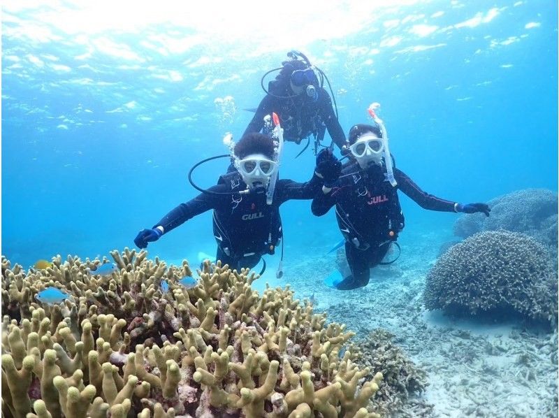【石垣島・3時間】 初めてでも失敗しない｜完全初心者専門 石西礁湖 体験ダイビング&times;幻の島上陸 経験豊富な専属ガイド・写真無料・9,500円の紹介画像