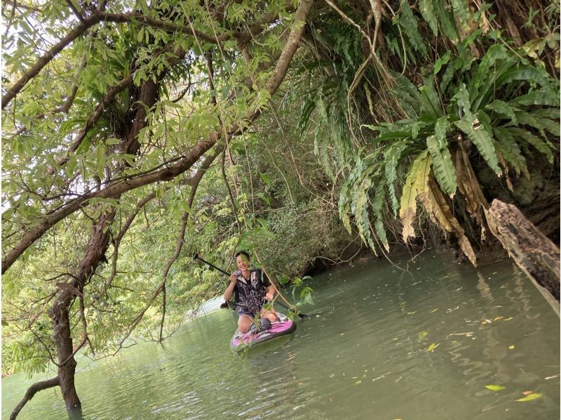 [Family Discount for 1 child fee free] Mangrove SUP from age 10 with free various size rental items