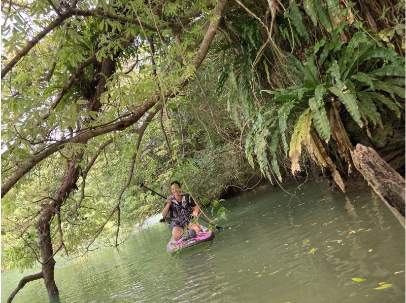 [ส่วนลดสำหรับครอบครัว]《 Mangrove SUP》แผนฟรีสำหรับเด็ก 1 คน ★สามารถเข้าร่วมได้ตั้งแต่อายุ 10 ปีขึ้นไป ★รายการเช่าฟรีสำหรับเด็กมีหลายขนาด!の紹介画像